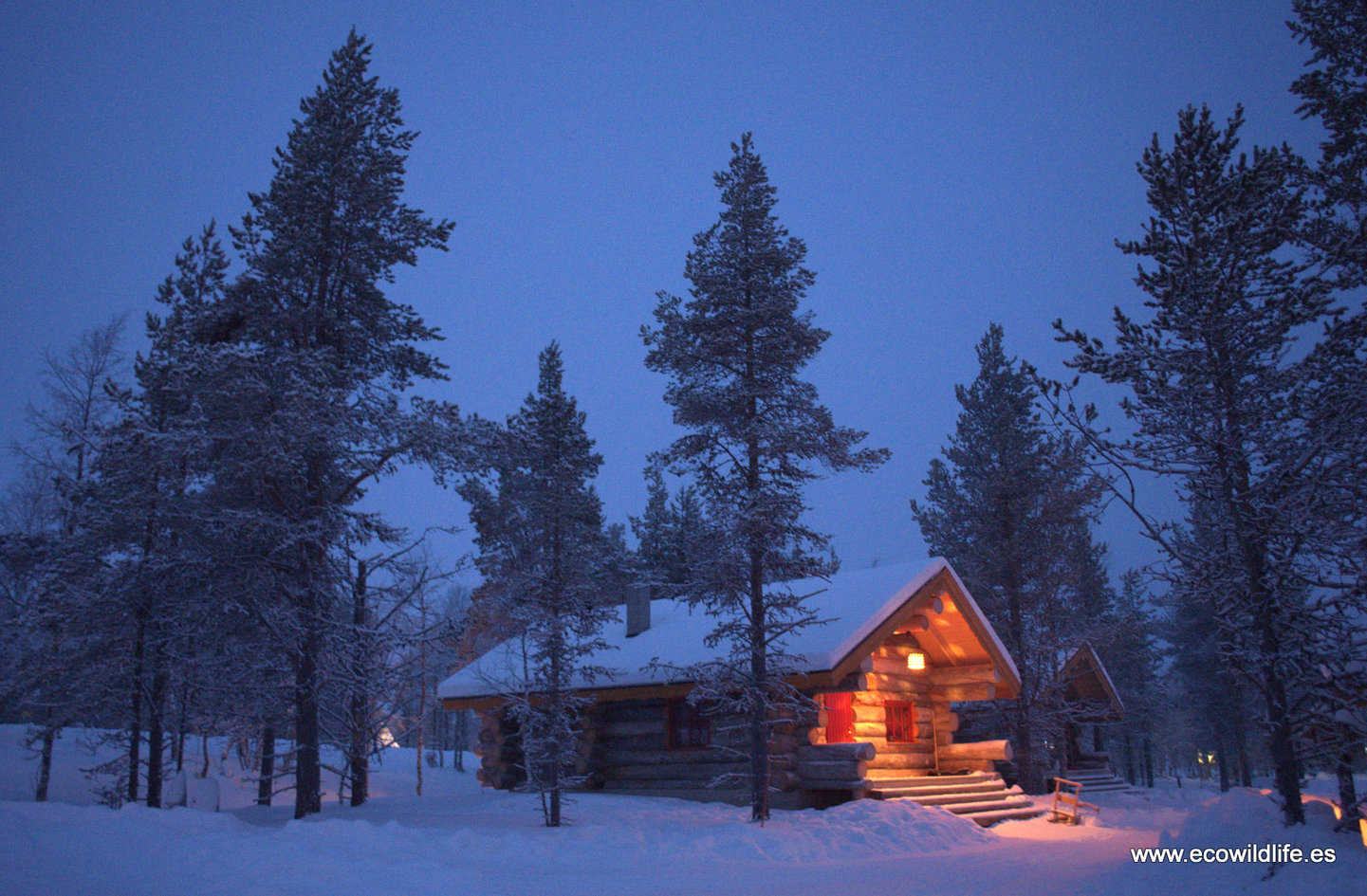 Finlandia: Invierno boreal