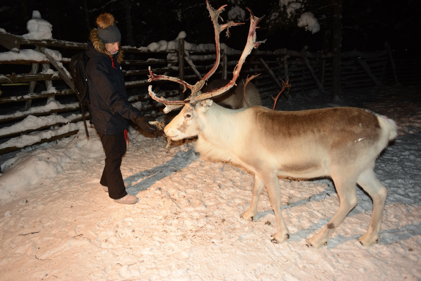 Finlandia: Invierno boreal