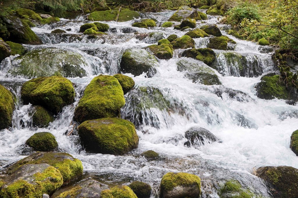 Polonia: Parques Nacionales