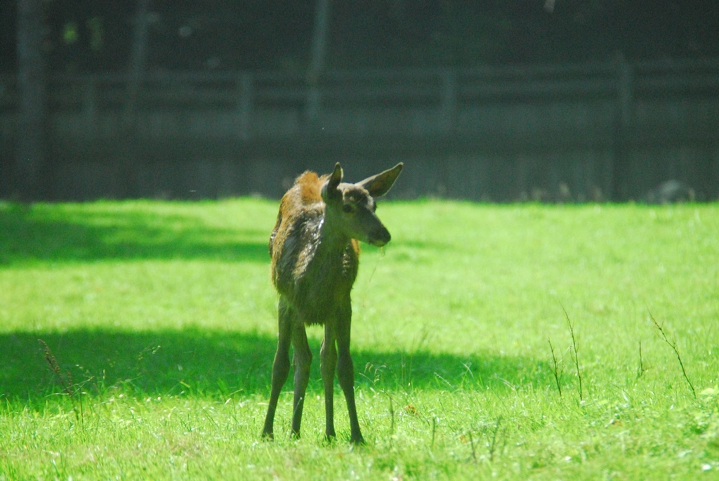 Polonia: Parques Nacionales