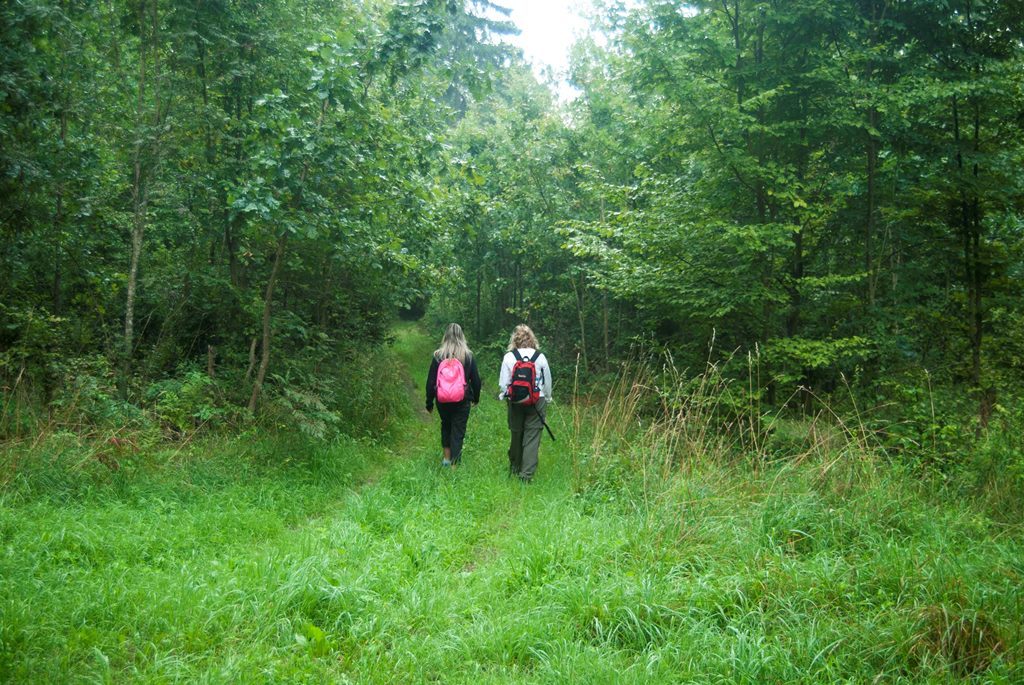 Polonia: Parques Nacionales