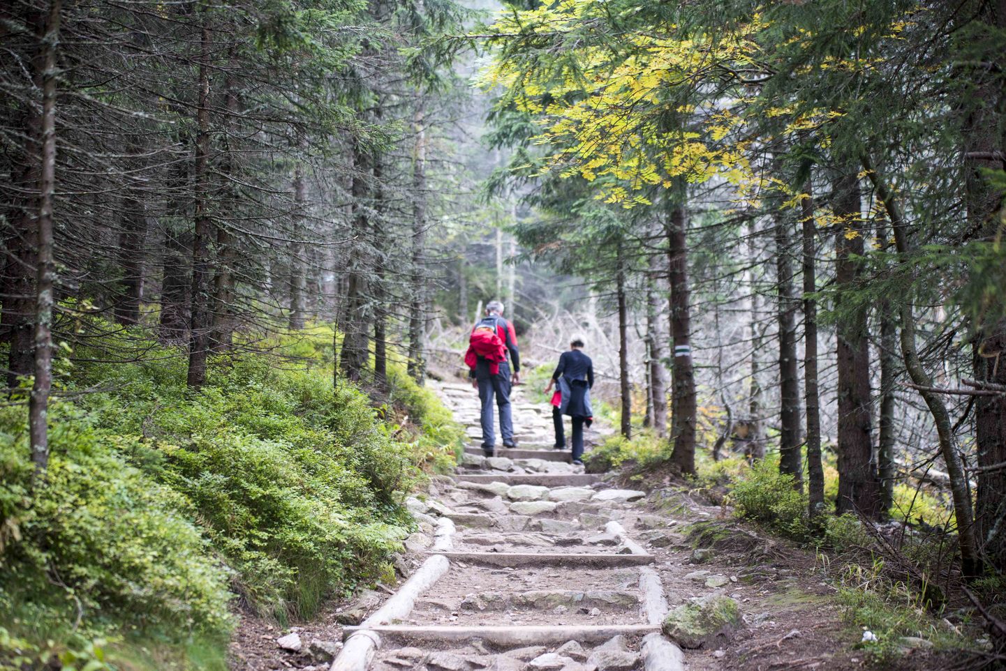 Polonia: Parques Nacionales