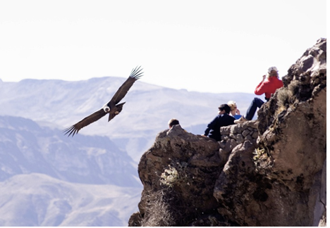 PERU: AVENTURA ANDINA EN EL SOLSTICIO DE VERANO CON INTI RAYMI