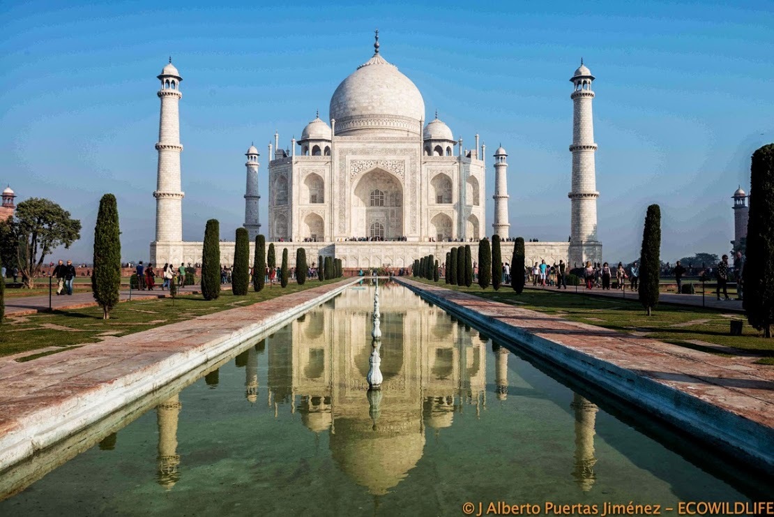 India: Esplendores del Rajastán