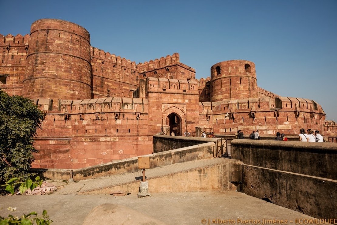 India: Esplendores del Rajastán
