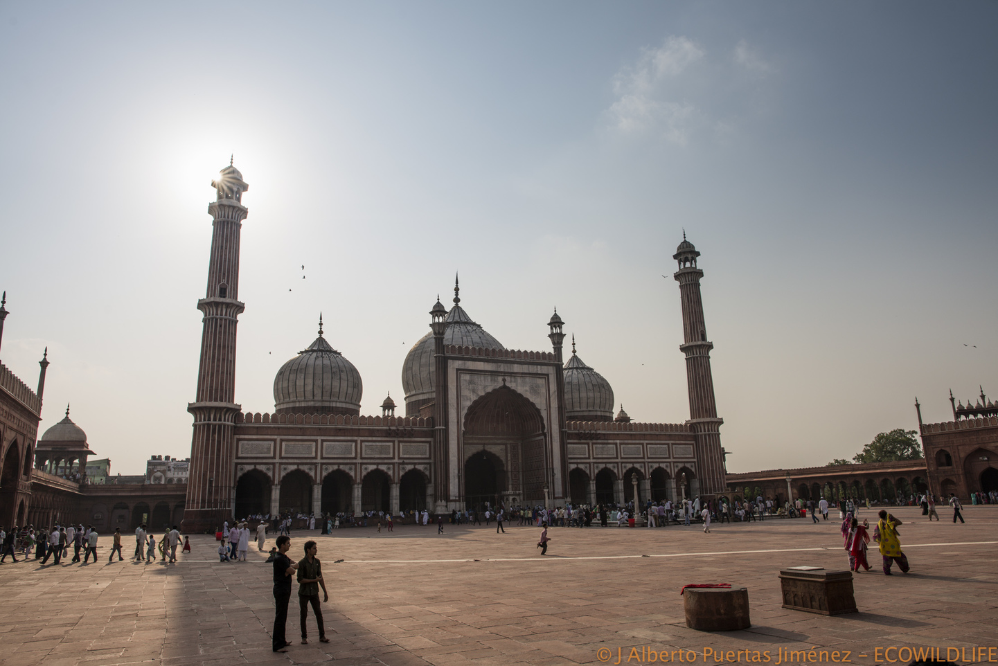 India: Esplendores del Rajastán