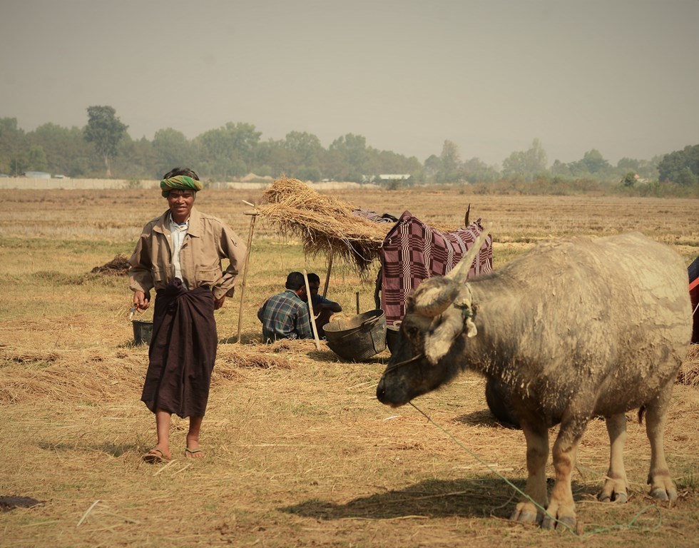 Myanmar: Regreso a Mandalay