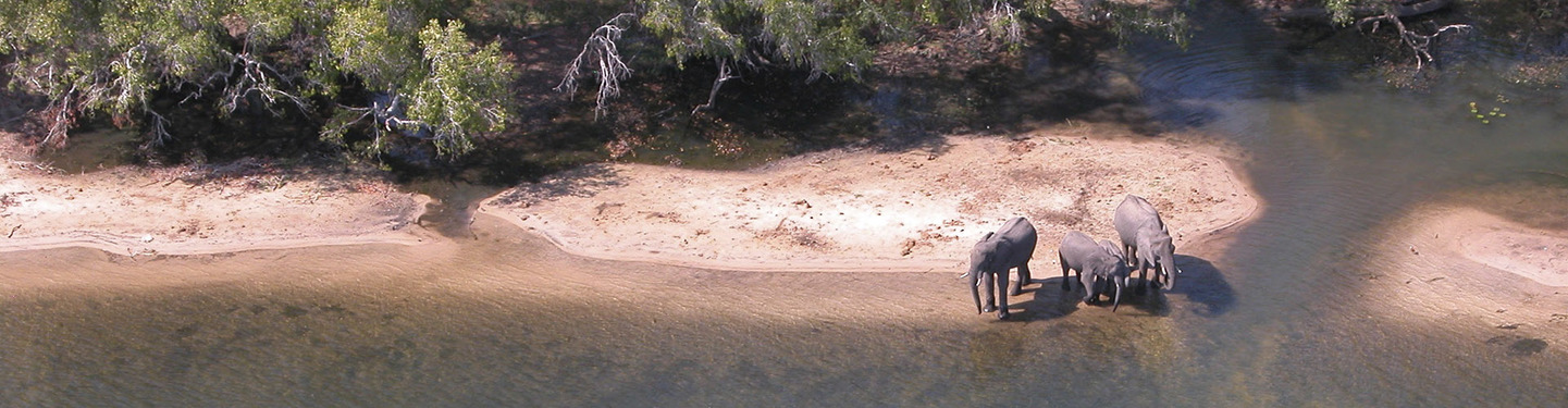Botswana y Zambia: Territorios Salvajes