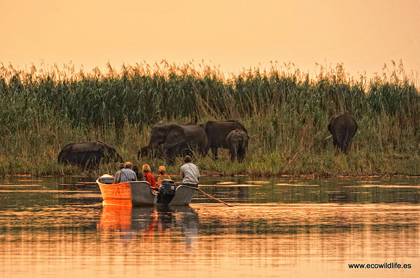 Botswana y Zambia: Territorios Salvajes