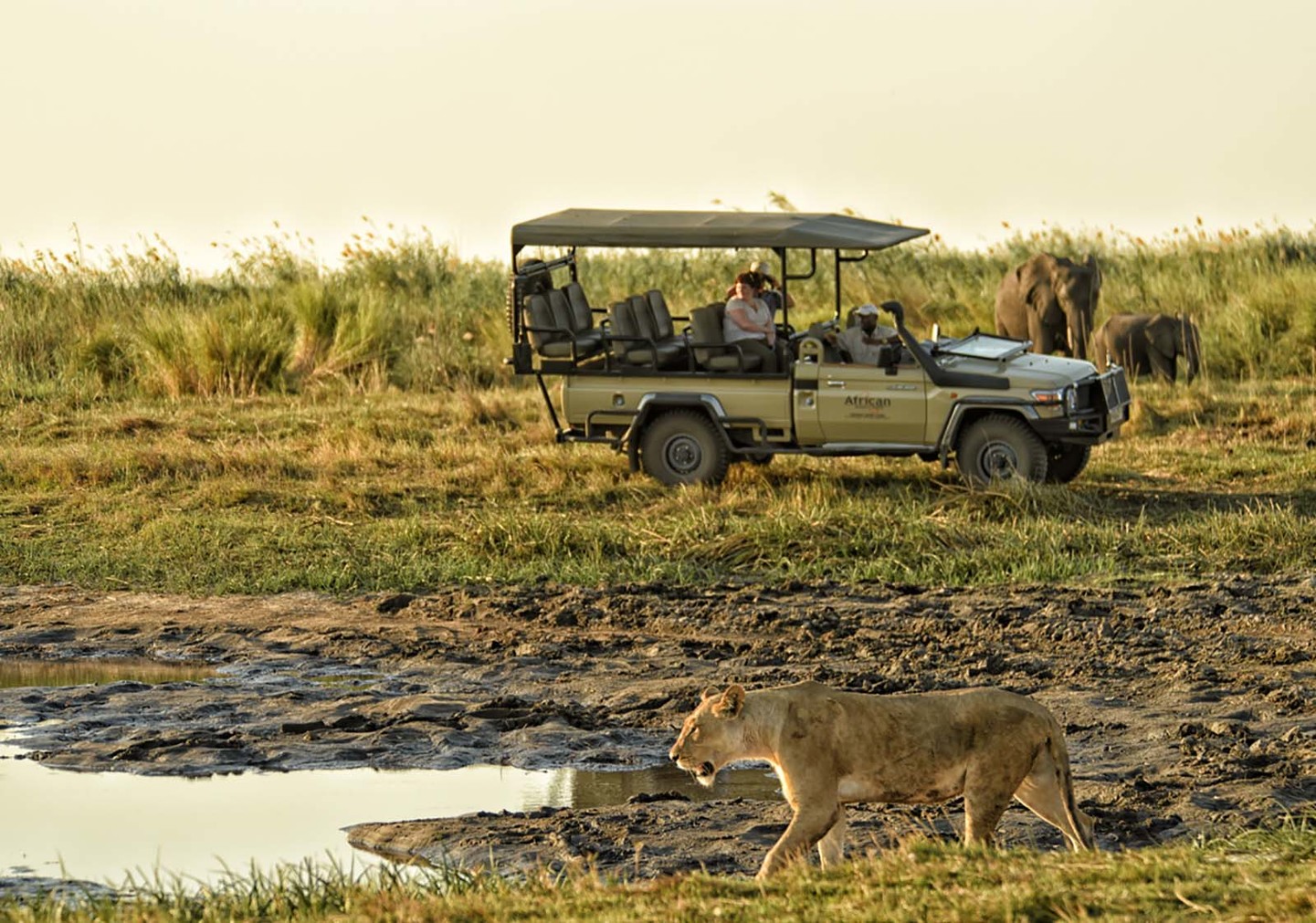 Botswana y Zambia: Territorios Salvajes