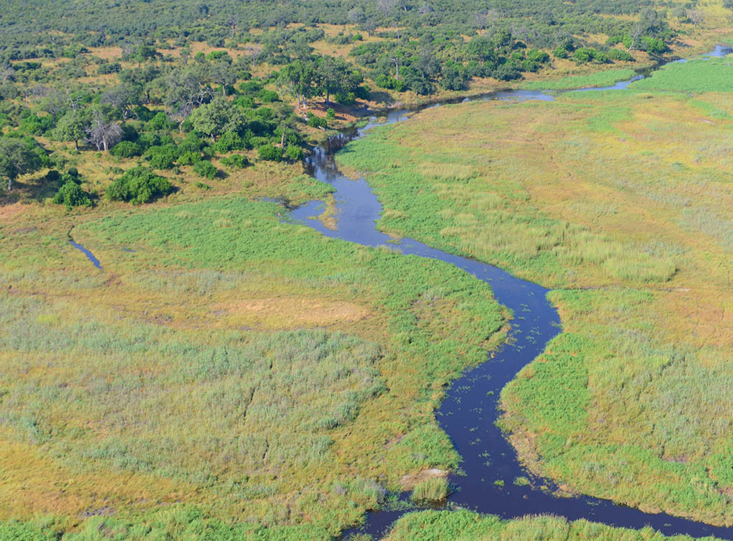 Botswana y Zambia: Territorios Salvajes