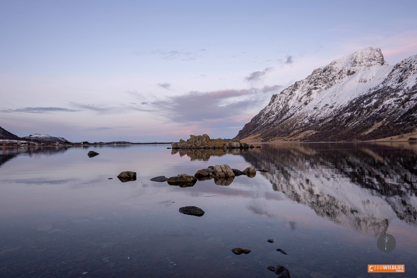 Noruega: Auroras Boreales, Renos en Cabo Norte