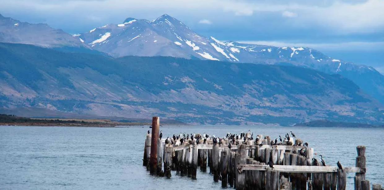 Chile: Expedición patagónica + Isla de Pascua