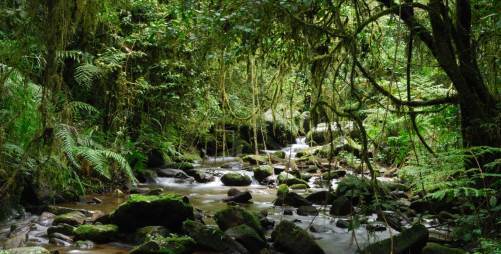 Madagascar: Expedición Fauna y Culturas