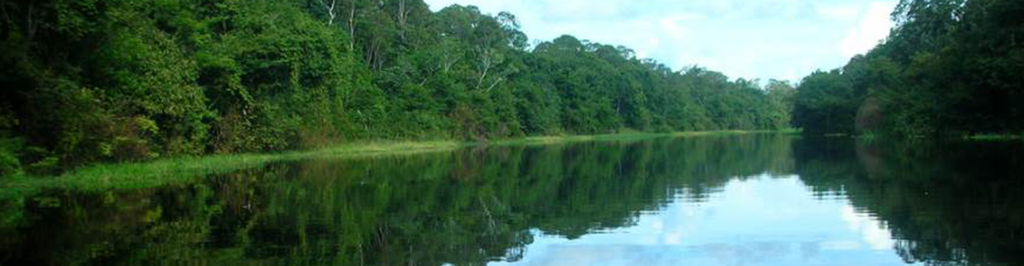 Brasil: Crucero Amazonia