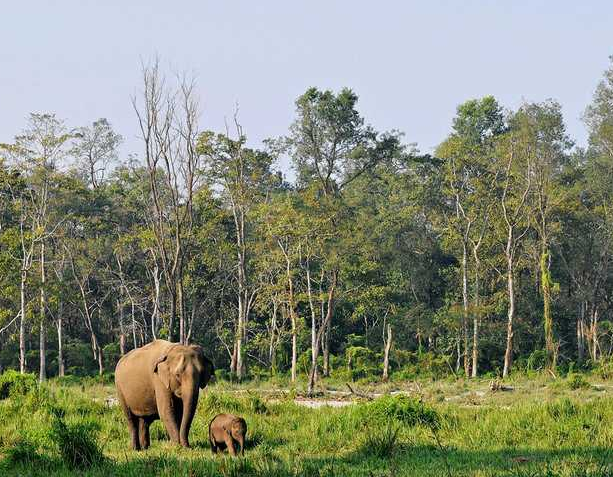 Nepal: Viaje Fotográfico