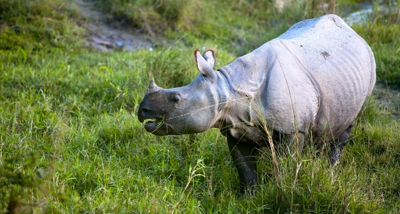 Nepal: Viaje Fotográfico