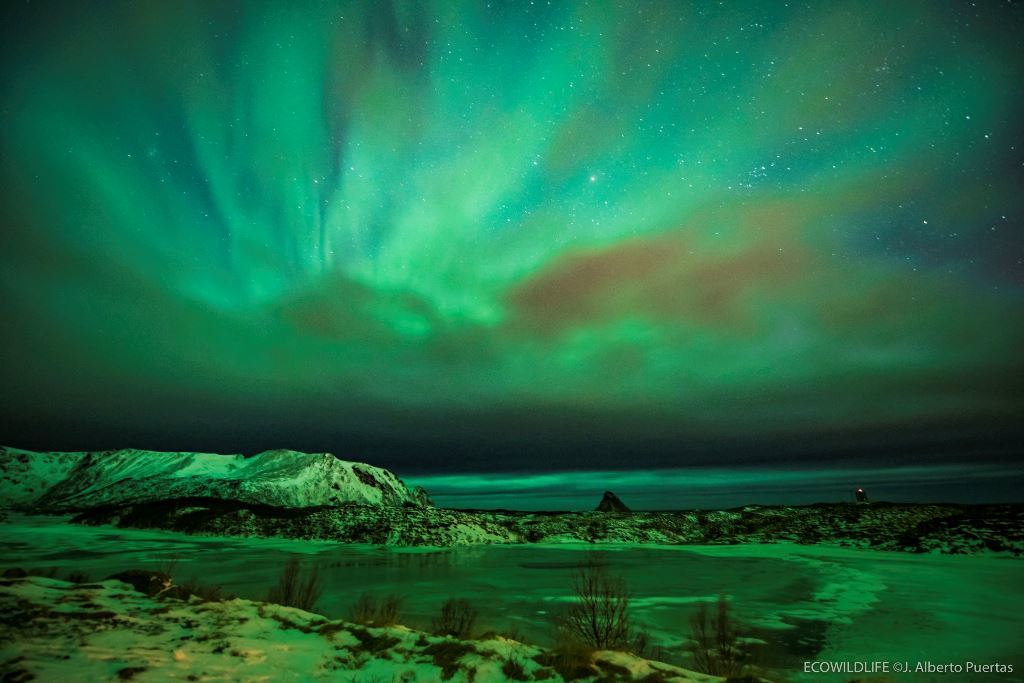 Islandia: Escapadas Boreales de 4 días