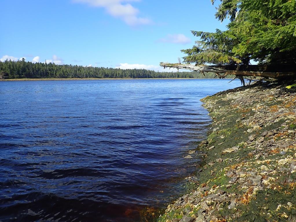 Canadá: Expedición Heiltsuk