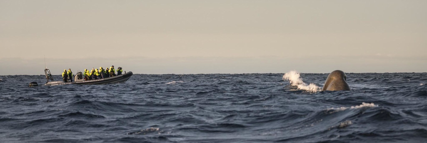 Semana Santa en Islandia: Auroras Boreales, Glaciares y Volcanes
