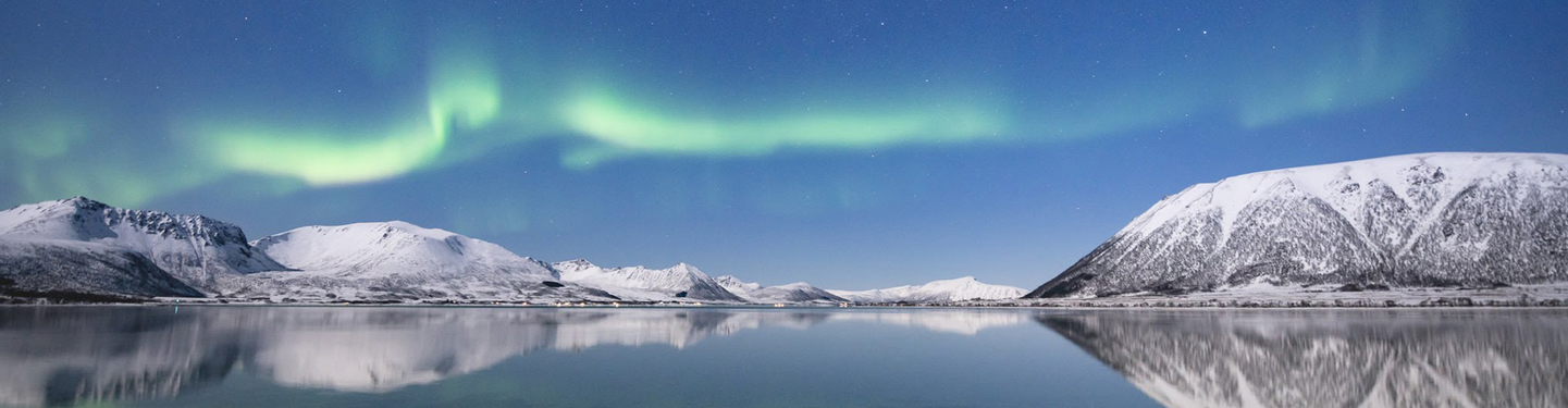Noruega: Auroras Boreales y Cetáceos en Skjervoy