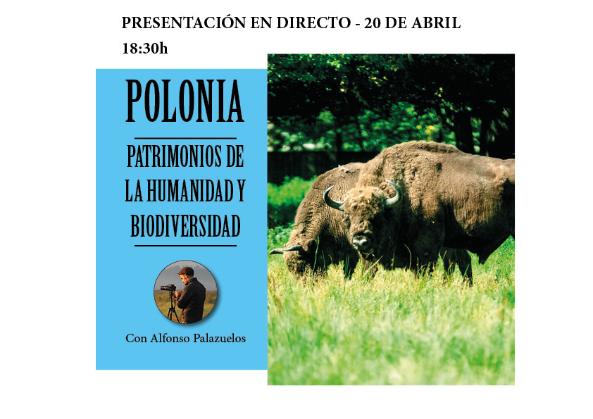 Presentaciones