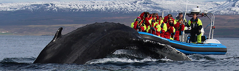 Islandia: Glaciares y auroras en invierno