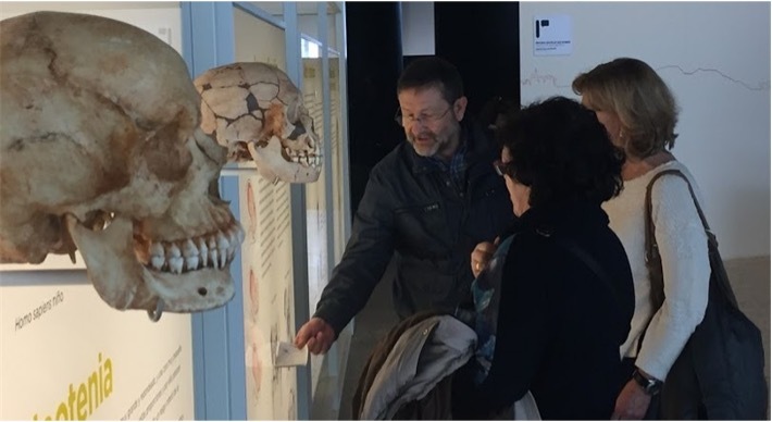 ESPAÑA: Lobos y osos en la montaña Palentina