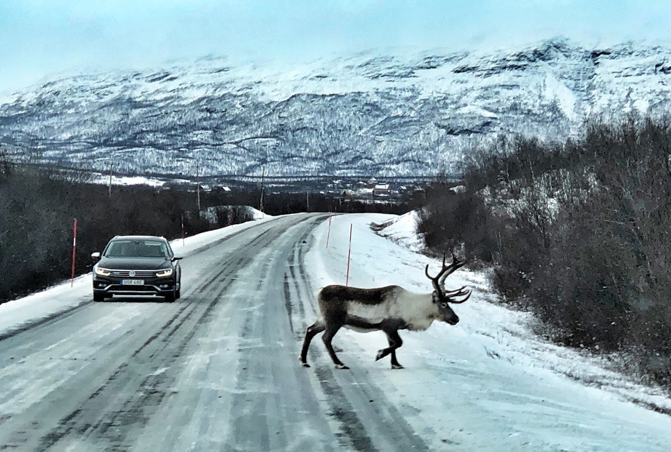 Suecia: Auroras Boreales en Kiruna