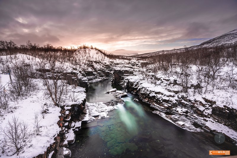 Suecia: Auroras Boreales en Kiruna
