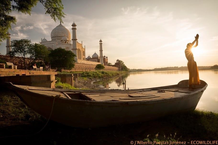 India: Senderos del Tigre