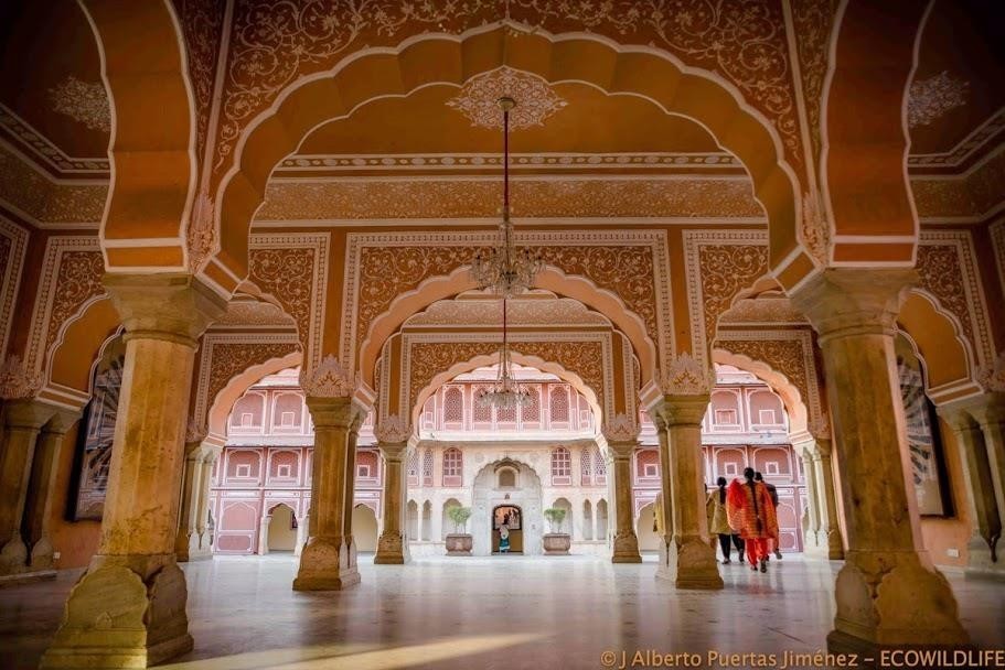 India: Especial Tigres y Leyendas · Pascua ·