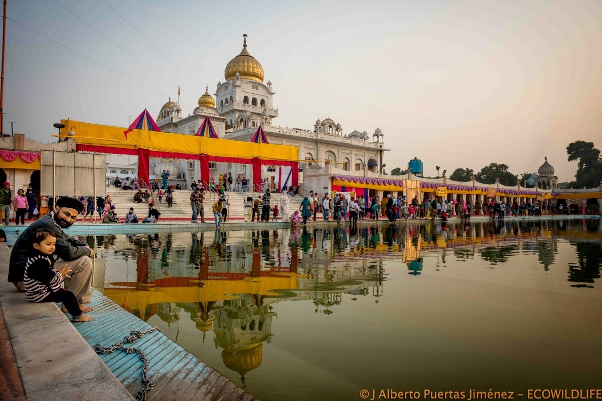 India: Especial Tigres y Leyendas · Pascua ·