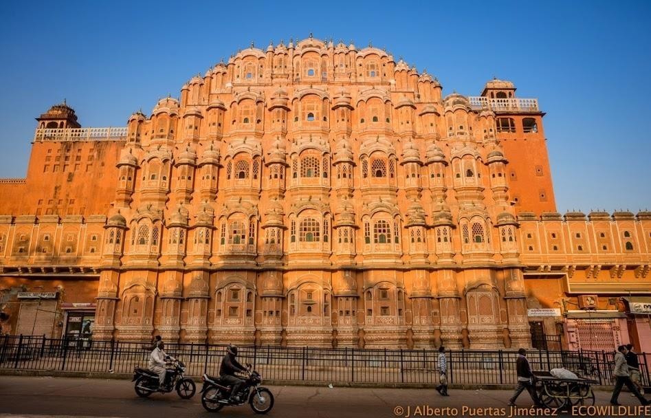 India: Especial Tigres y Leyendas · Pascua ·