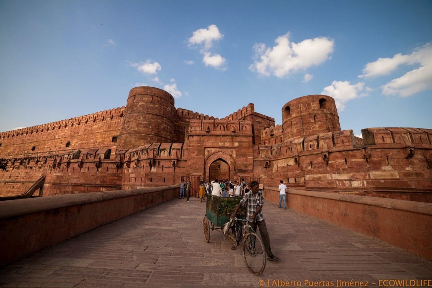 India: Especial Tigres y Leyendas · Pascua ·