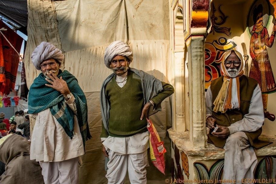 India: Especial Tigres y Leyendas · Pascua ·