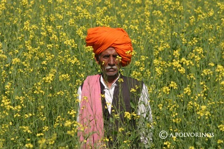 India: Especial Tigres y Leyendas · Pascua ·