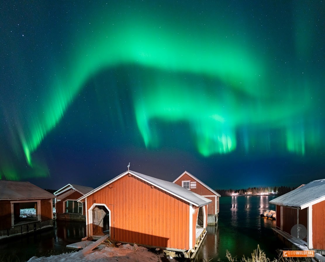 Suecia: Auroras boreales en Laponia