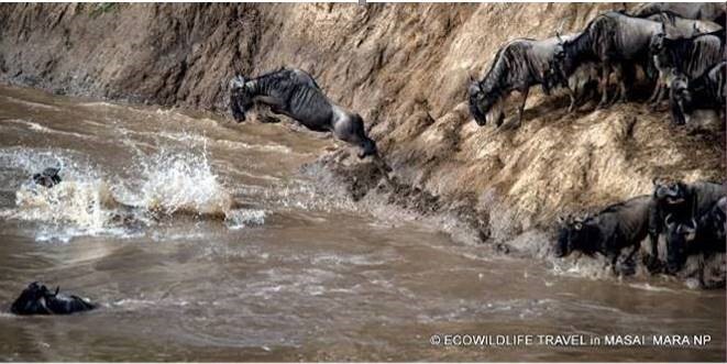 KENIA: MEMORIAS DE AFRICA, BIG FIVE Y EL KILIMANJARO