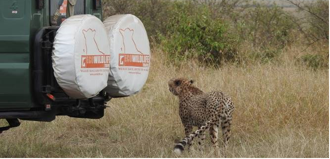 KENIA: MEMORIAS DE AFRICA, BIG FIVE Y EL KILIMANJARO