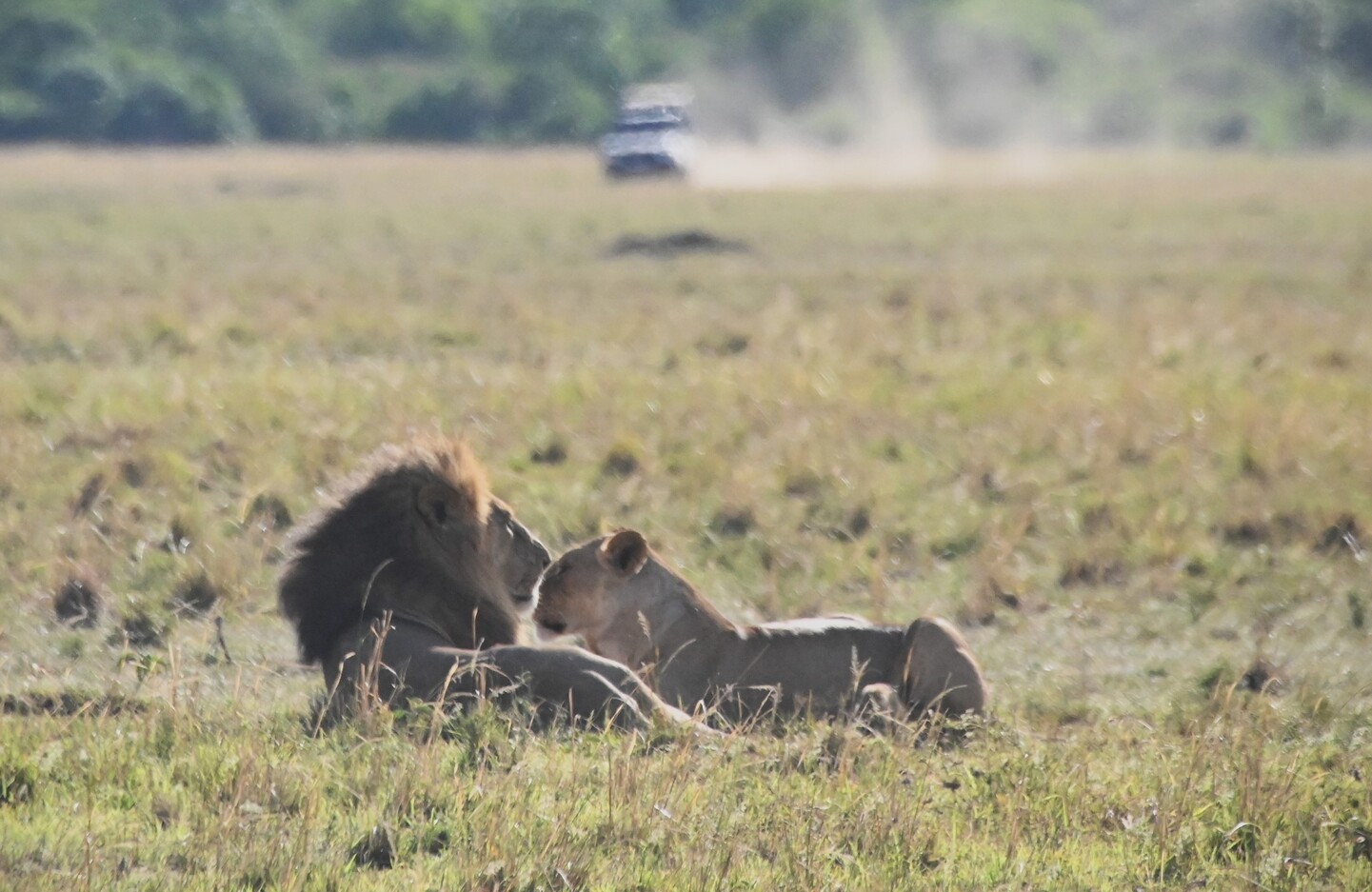 KENIA: MEMORIAS DE AFRICA, BIG FIVE Y EL KILIMANJARO