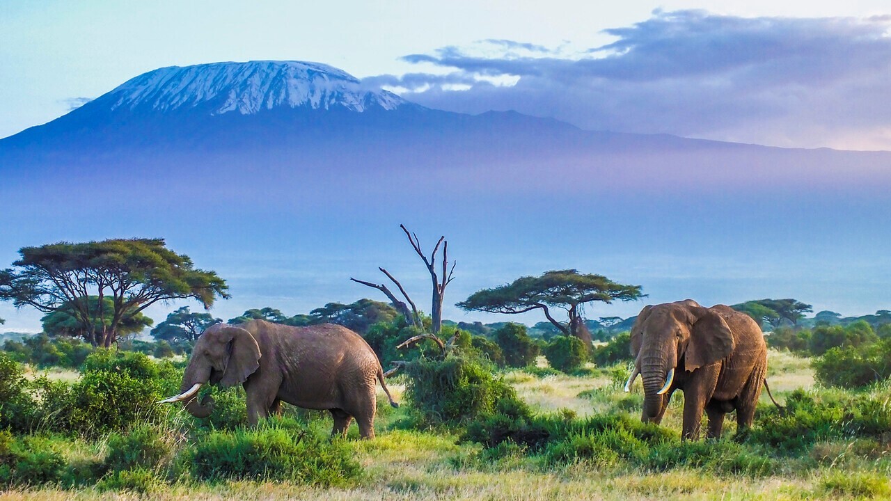 KENIA: MEMORIAS DE AFRICA, BIG FIVE Y EL KILIMANJARO