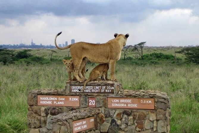 KENIA: MEMORIAS DE AFRICA, BIG FIVE Y EL KILIMANJARO