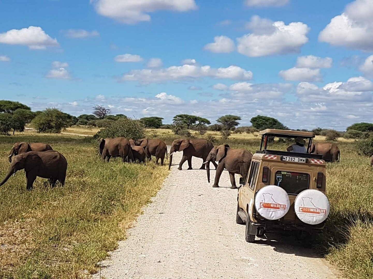 Tanzania: Viaje al Origen de la Humanidad