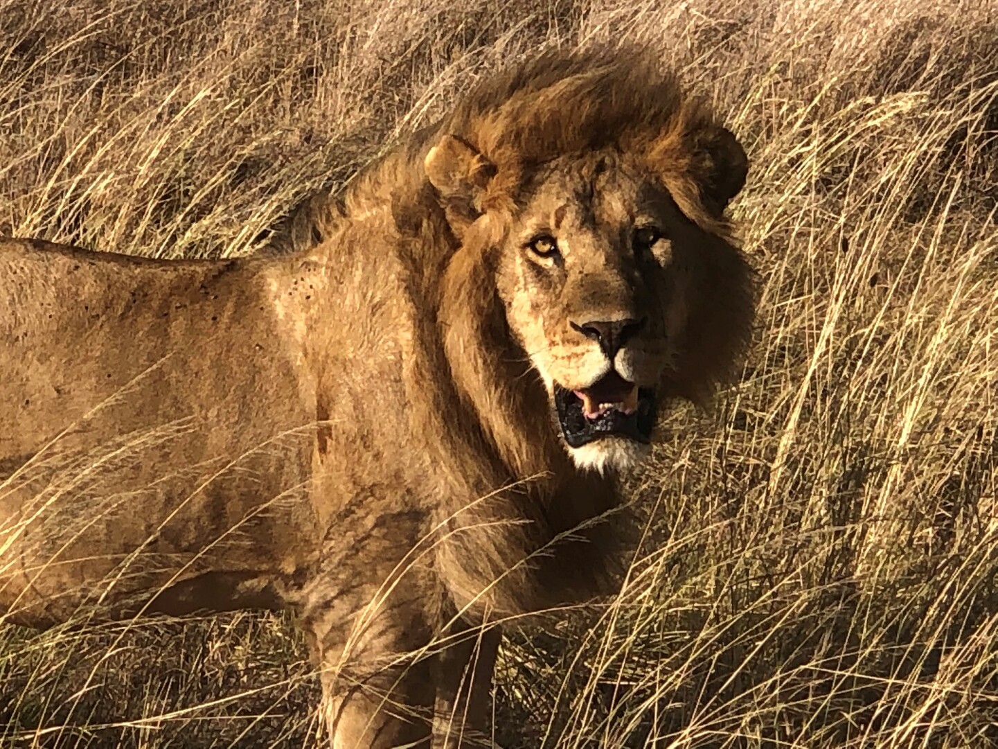 Tanzania: Viaje al Origen de la Humanidad