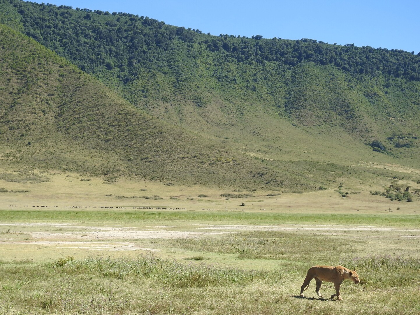 Tanzania: Viaje al Origen de la Humanidad