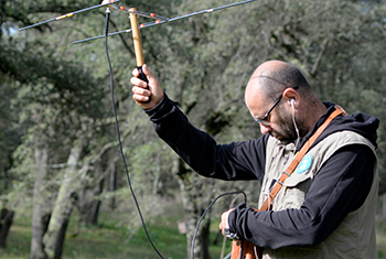 Estados Unidos: Expedición Parque Nacional Yellowstone