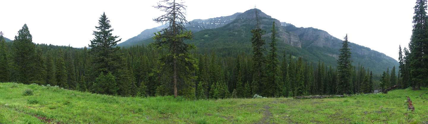 Estados Unidos: Expedición Parque Nacional Yellowstone