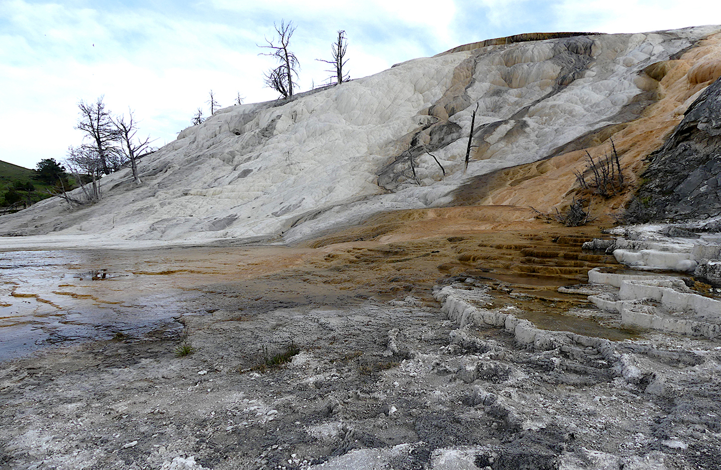 Estados Unidos: Expedición Parque Nacional Yellowstone