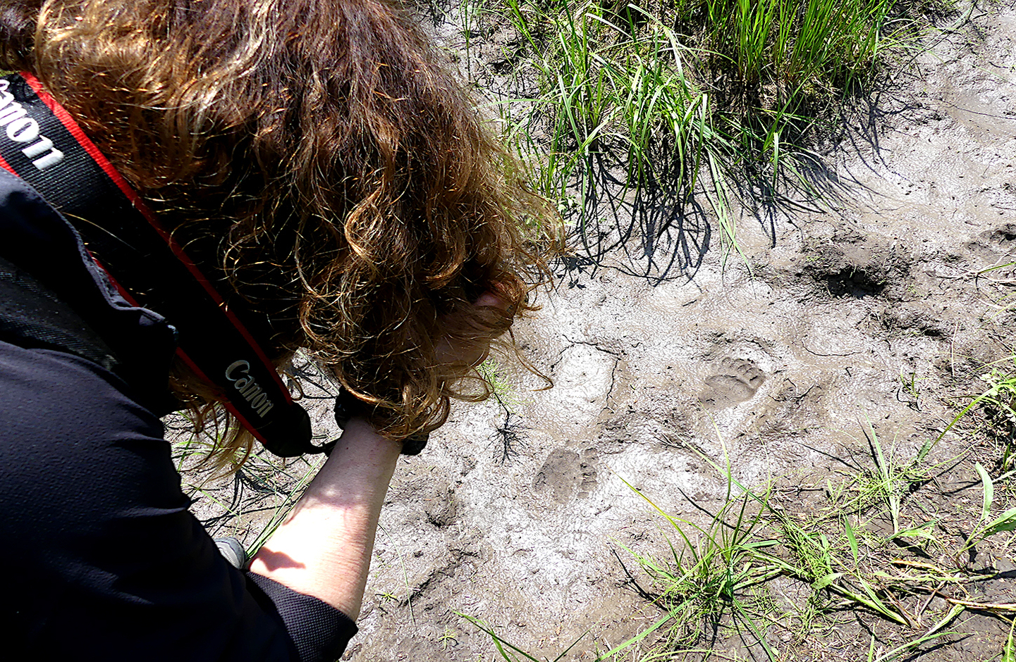 Estados Unidos: Expedición Parque Nacional Yellowstone